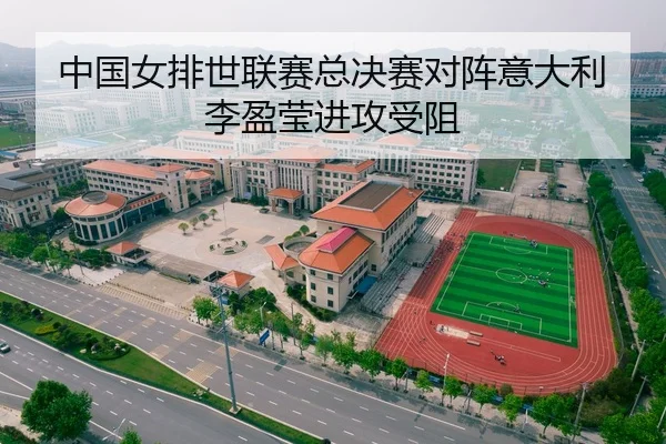 中国女排世联赛总决赛对阵意大利李盈莹进攻受阻